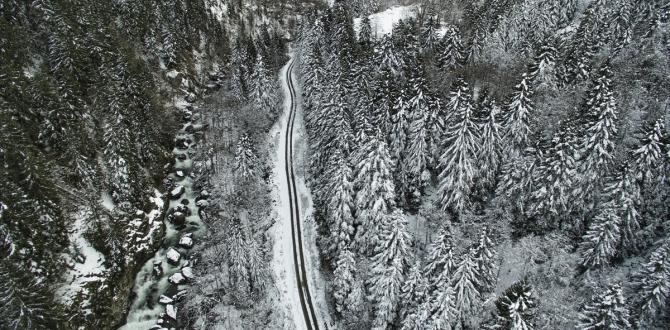 Kakar Yaylasna Kar Yad, Turistler ad Kald

