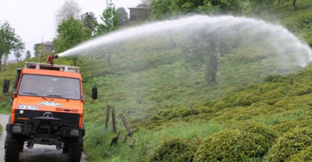 Kanser blgeyi esir alyor