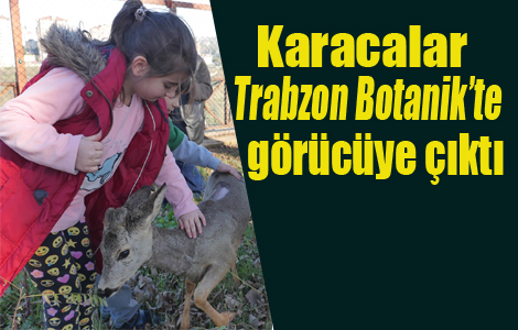 Karacalar Trabzon Botanikte grcye kt

