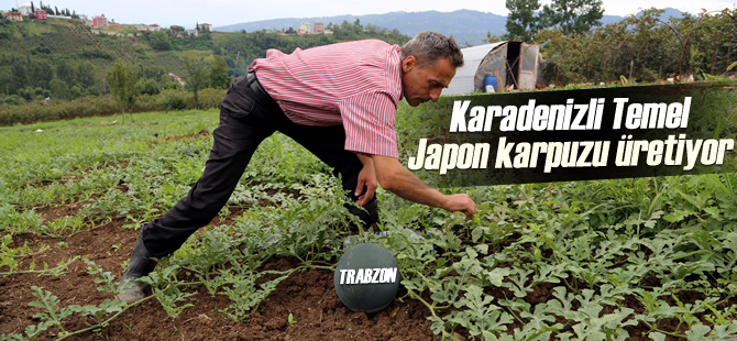 Karadenizli Temel Trabzon'da Japon Karpuzu retiyor

