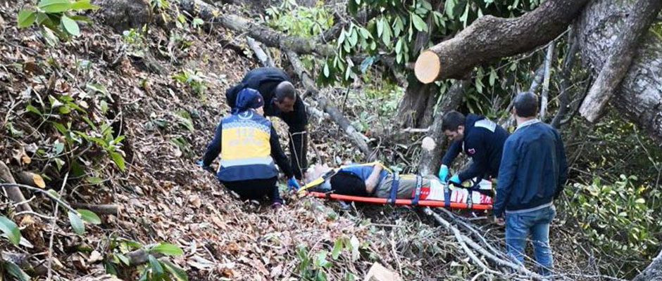 KESTİĞİ AĞACIN ALTINDA KALDI