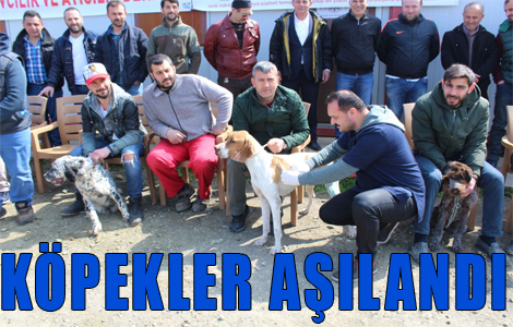 Köpekler Aşılandı