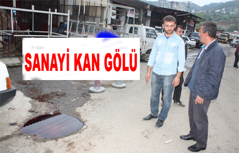 Mezbahanın Atık Suları Sanayiye Akıyor