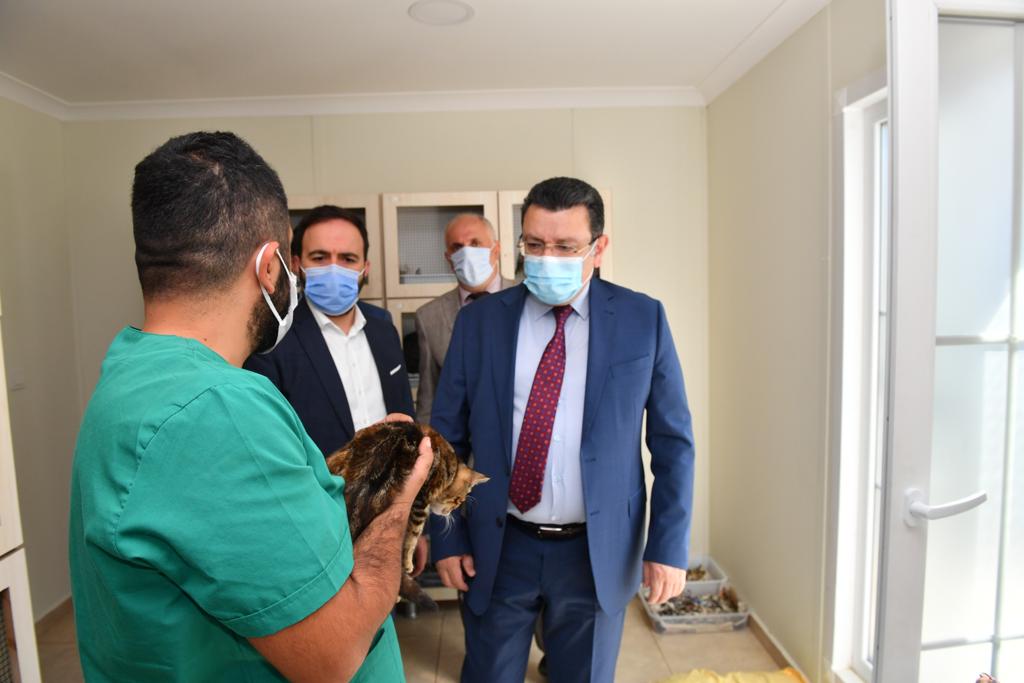 Minik dostlar ehil ellerde tedavi ediliyor!