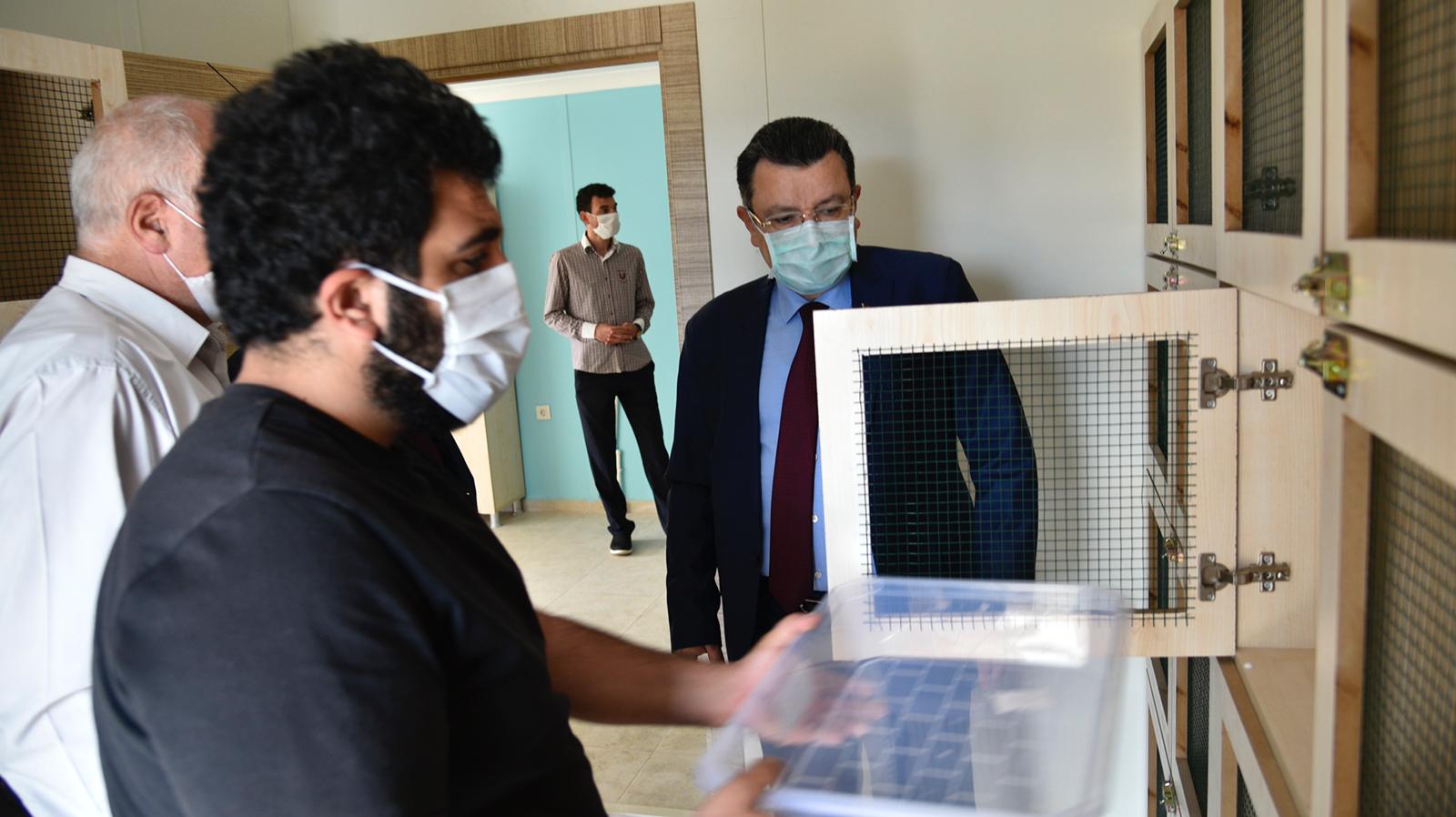 Minik dostlara muhteşem klinik!