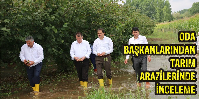 Oda Başkanlarından Tarım Arazilerinde İnceleme