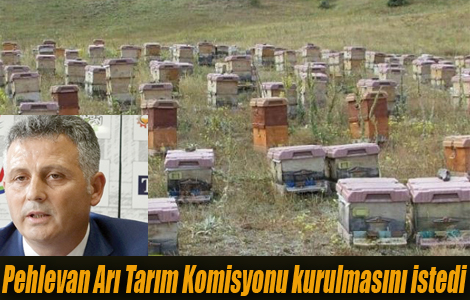 Pehlevan Ar Tarm Komisyonu kurulmasn istedi