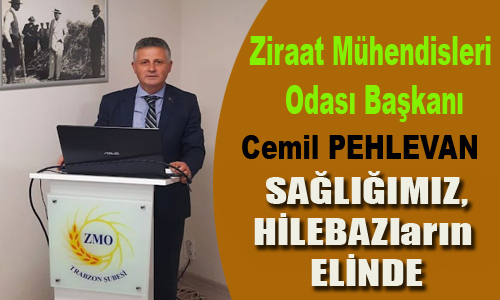 SALIIMIZ,HLEBAZlarn ELNDE.

