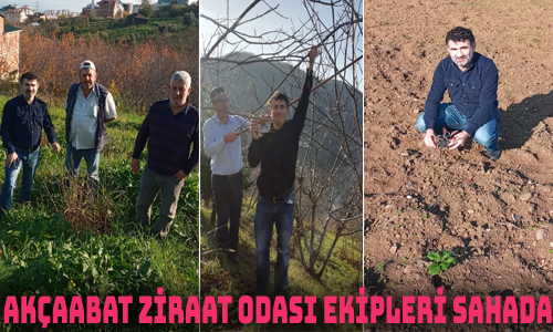 Tarım Danışmanları arazi çalışmalarını sürdürüyor.