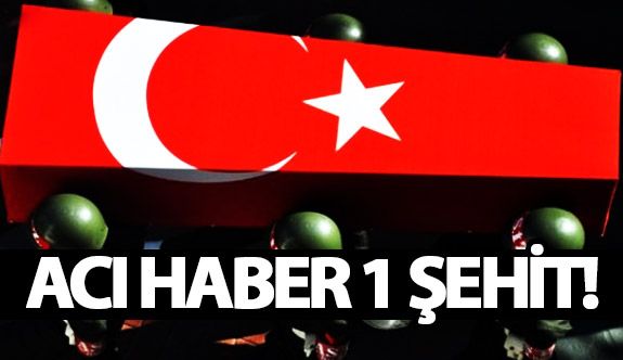 Terhisine 25 gün kala şehit oldu! Acı haber...