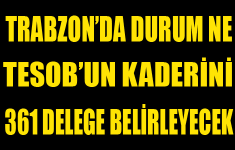 TESOB’un kaderini toplam 361 delege belirleyecek