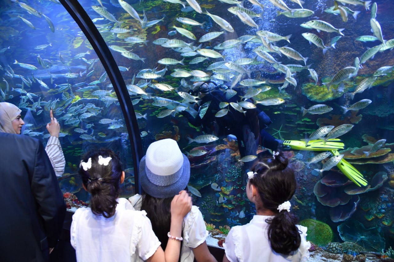 Trabzon Akvaryum ziyaretilerin gzbebei oldu!

