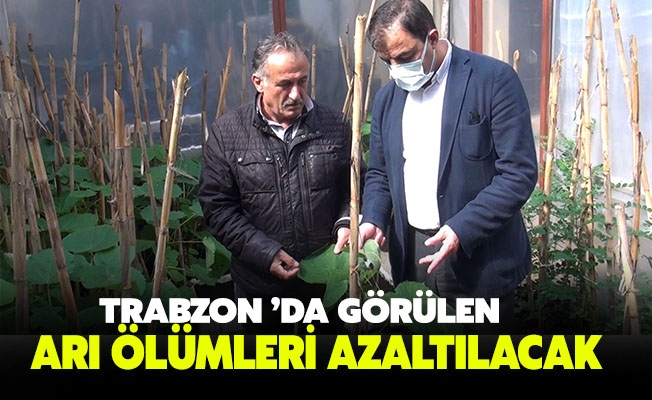 Trabzon da grlen ar lmleri azaltlacak
