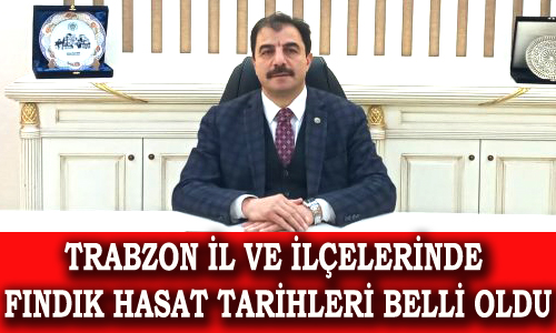 TRABZON İÇİN FINDIK HASAT TARİHLERİ BELLİ OLDU