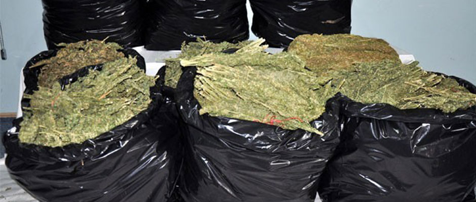 TRABZON'DA ESRAR OPERASYONU