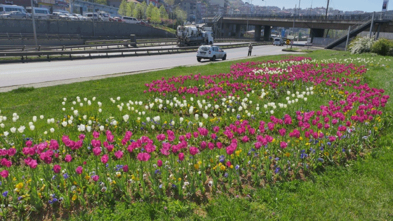 TRABZON’DA İSPİRYA ŞÖLENİ