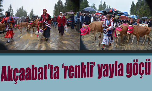 Trabzon'da renkli yayla g
