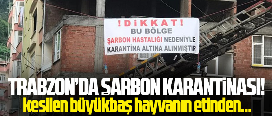 TRABZON'DA ŞARBON KARANTİNASI!