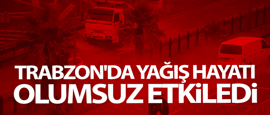 Trabzon'da ya hayat olumsuz etkiledi