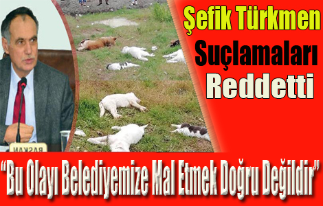 Türkmen Suçlamaları reddetti