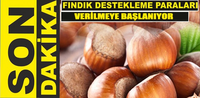 reticiye Mjde:96 milyon lira destek demesi