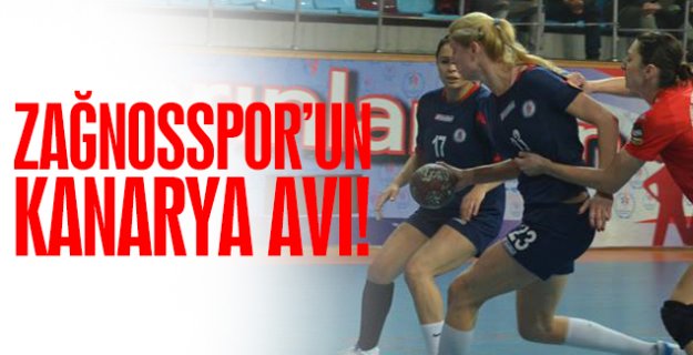 Zağnos’un Kanarya avı