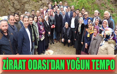 ZRAAT ODASI'NDAN FAZLA MESA