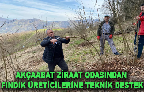 ZRAAT ODASINDAN FINDIK RETCLERNE TEKNK DESTEK
