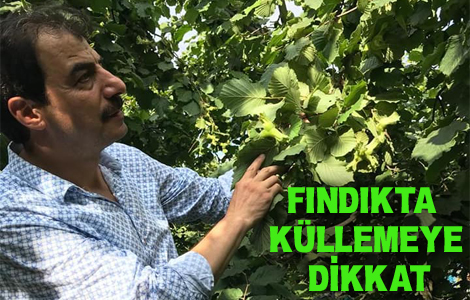 ZRAAT ODASI'NDAN UYARI!